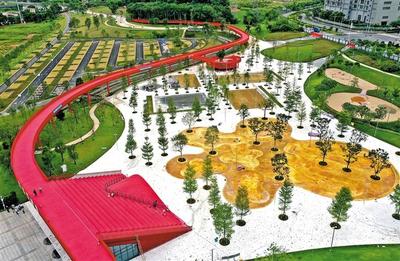 綠網(wǎng)織城，公園筑夢(mèng) 260座公園星羅棋布，繪就生態(tài)光明新畫卷